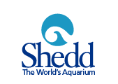 logo_shedd.gif